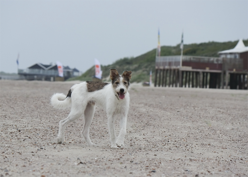 1 -- Felix Holland 6 - 2013 _SAM_2159 als Smart-Objekt-1 Kopie.jpg